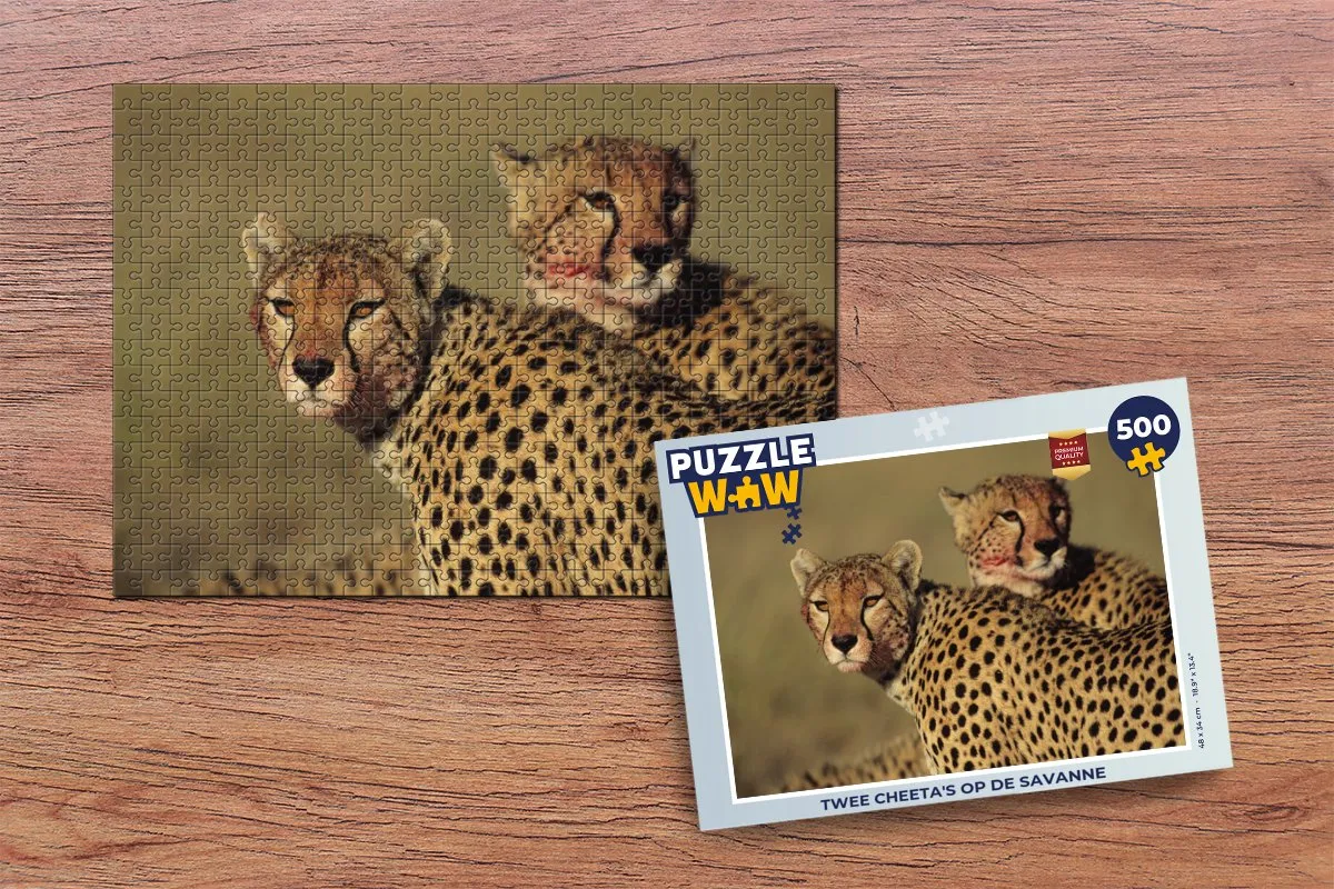 PuzzleWow Legpuzzel Twee cheeta's op de savanne 500 Stuks - Multicolor