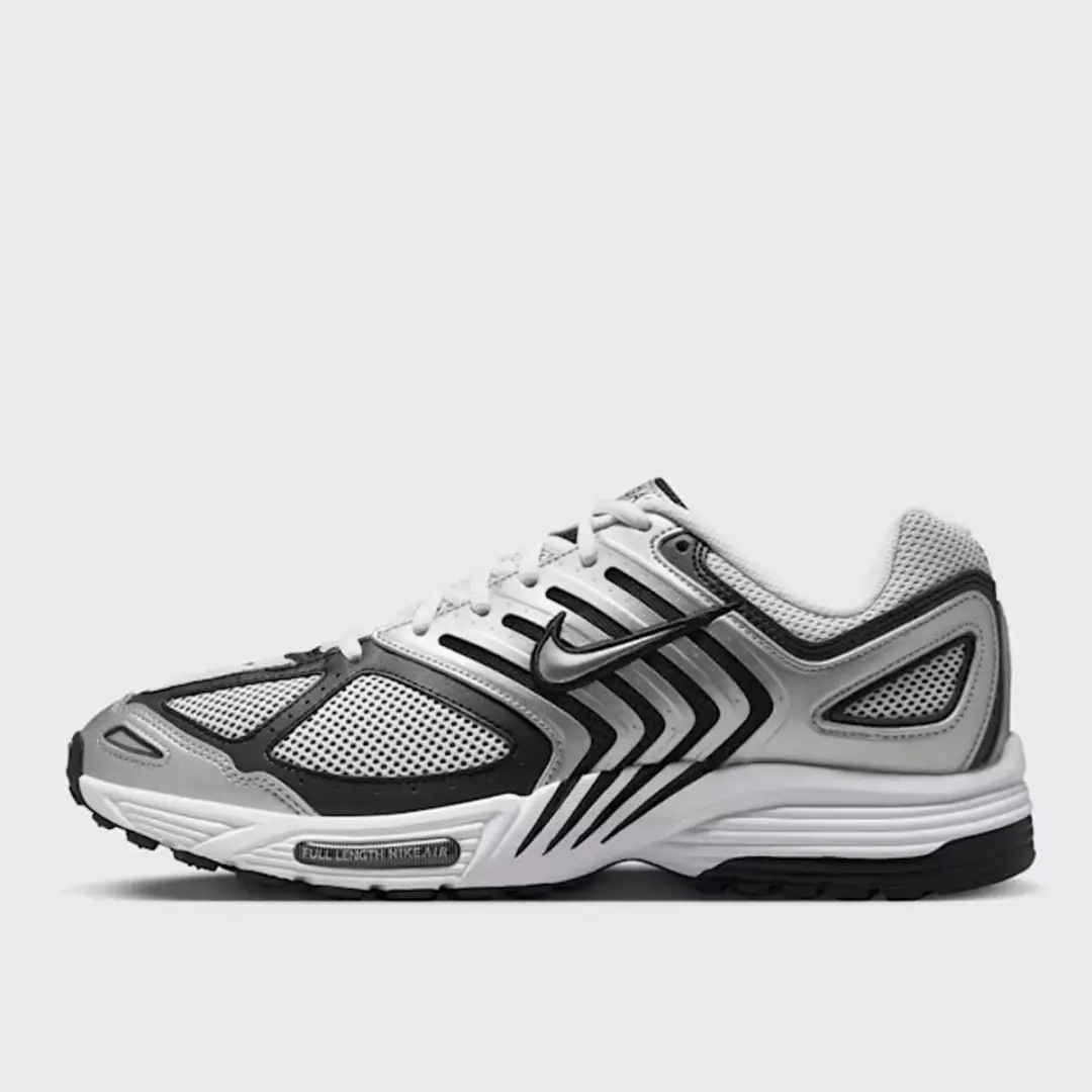 Nike Air Pegasus 2005