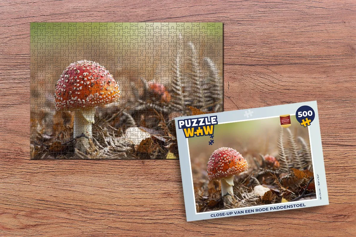 PuzzleWow Legpuzzel Close-up Paddenstoel 500 Stuks - Multicolor