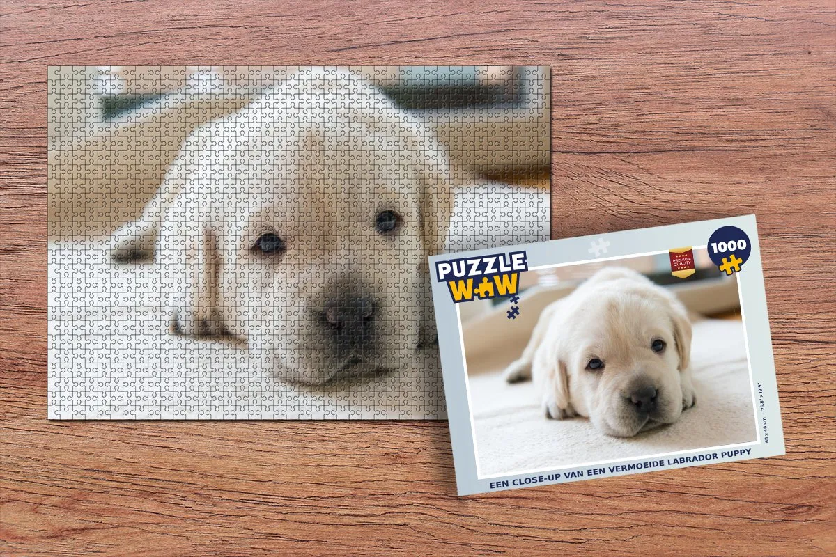 PuzzleWow Labrador Puppy Legpuzzel 1000 Stuks - Multicolor