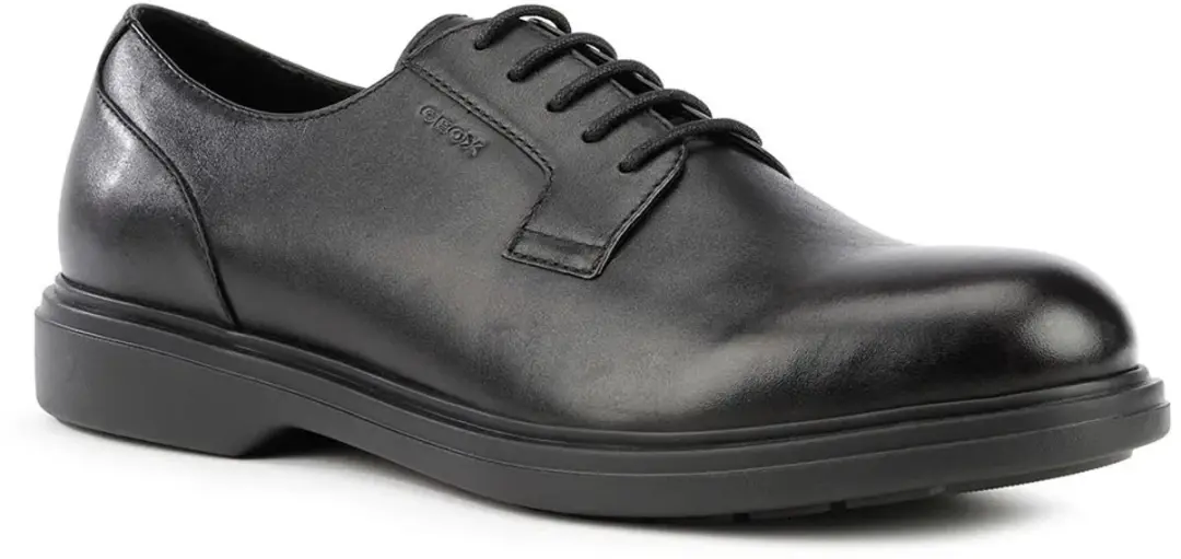 Geox Ottavio Schoenen Zwart EU 39 Man