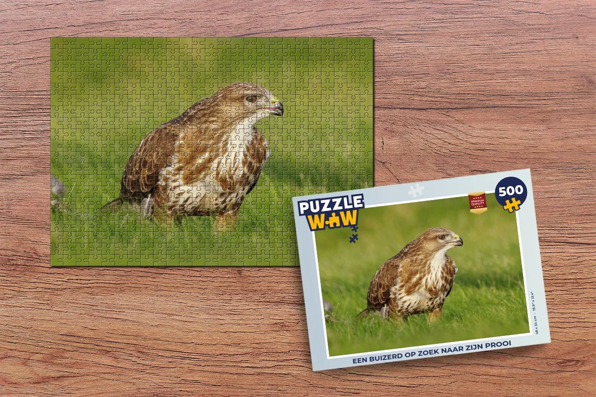PuzzleWow Legpuzzel 500 Stuks - Multicolor