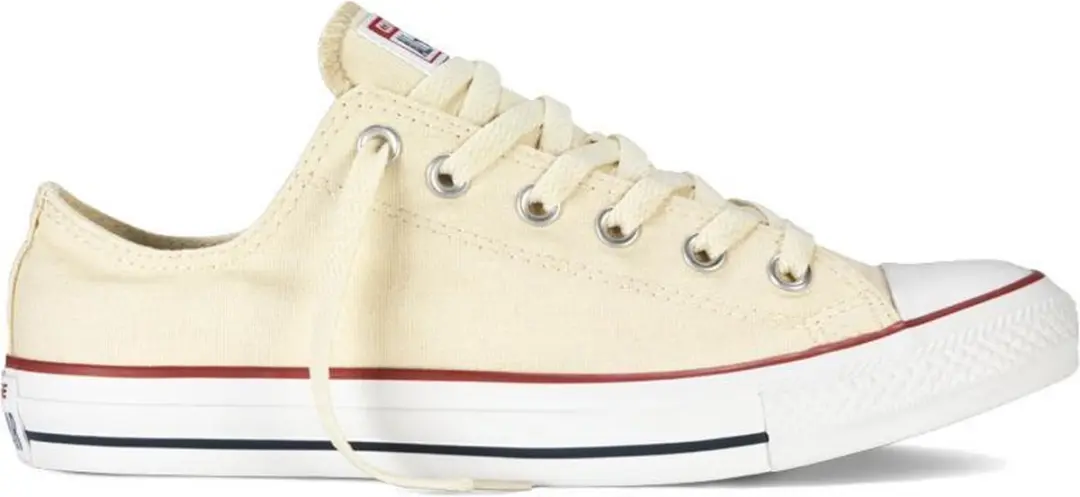 Converse Chuck Taylor All Star Classic sneakers