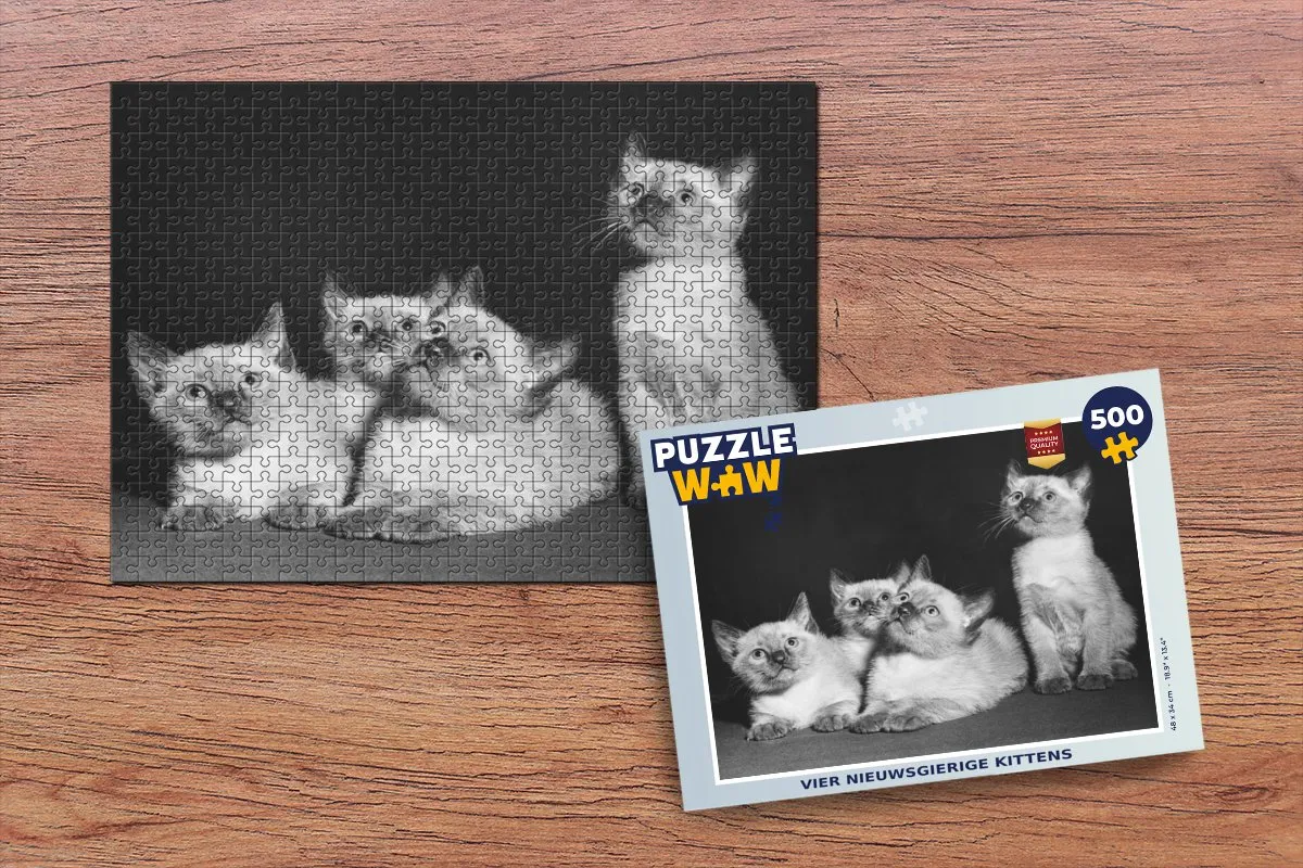 PuzzleWow Legpuzzel Vier Nieuwsgierige Kittens 500 Stuks - Multicolor