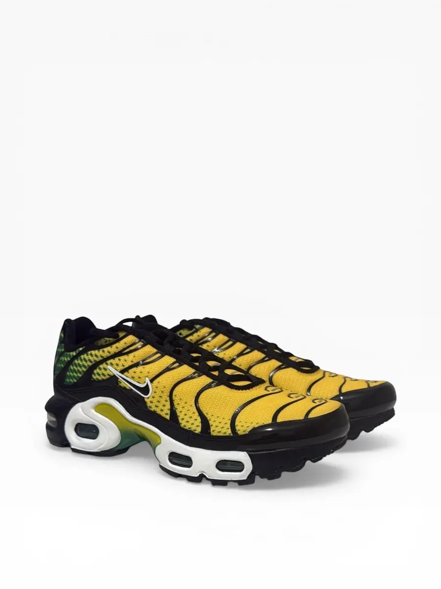 Nike Nike Air Max Plus GS