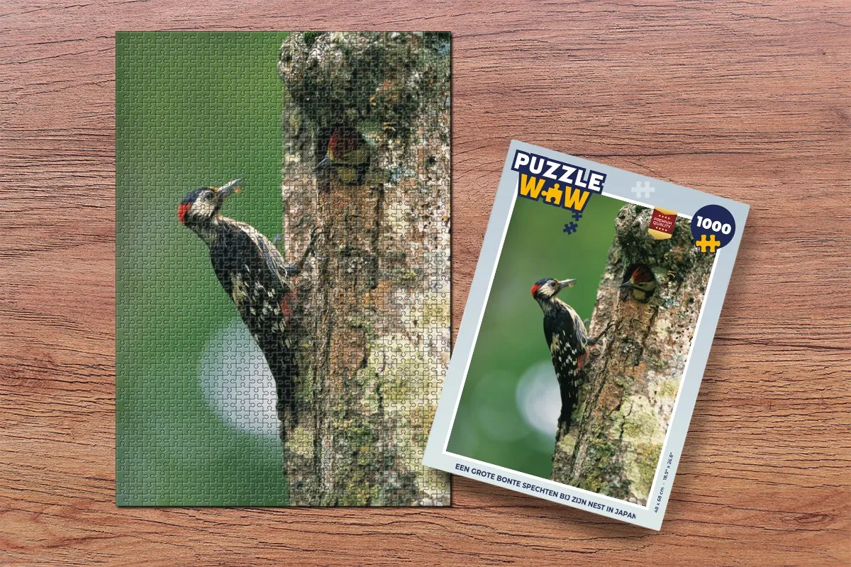 PuzzleWow Legpuzzel 1000 Stuks Multicolor