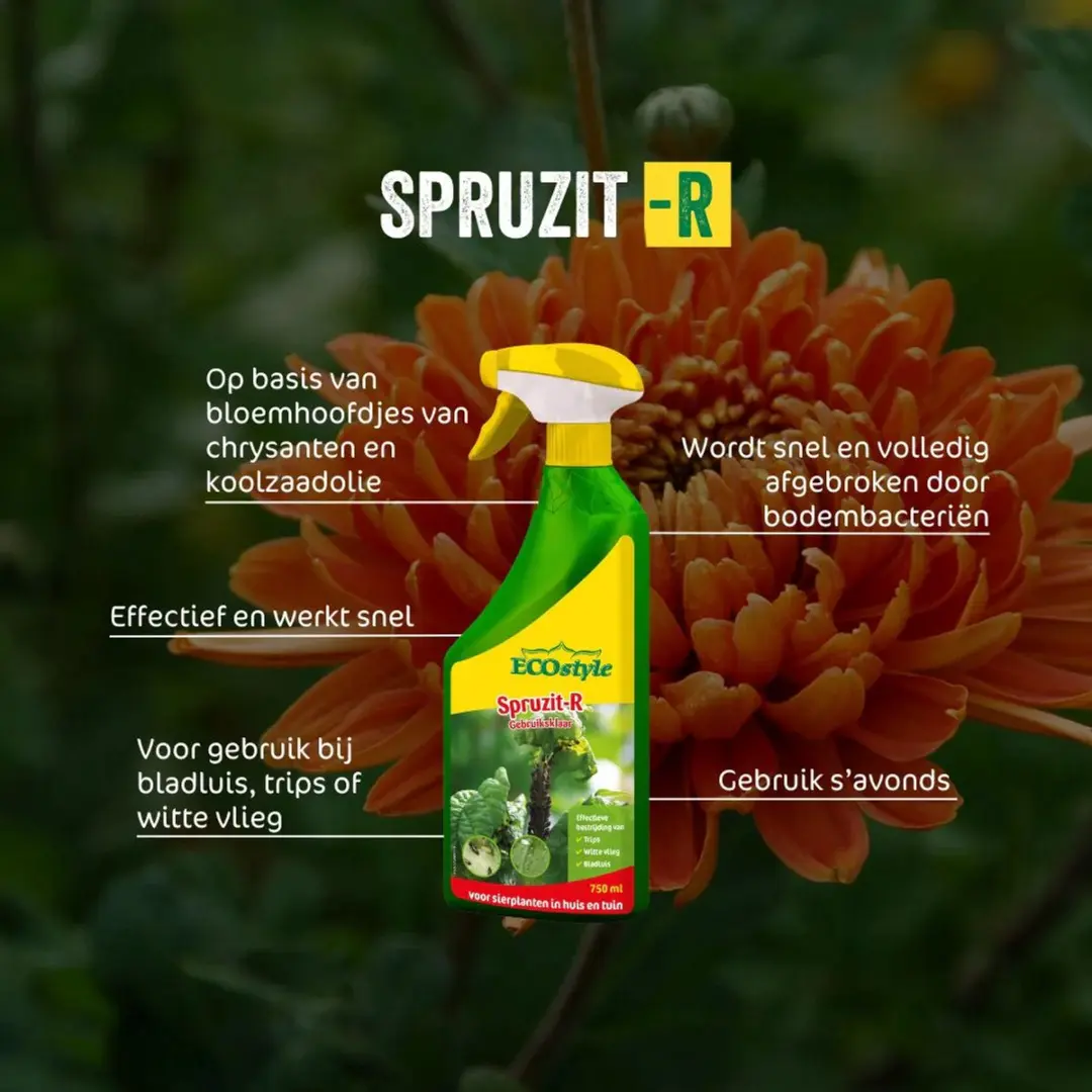 ECOstyle Spruzit-R Insectenspray 750ml - Bladluis/Trips/Witte Vlieg - afbeelding 5 van 6