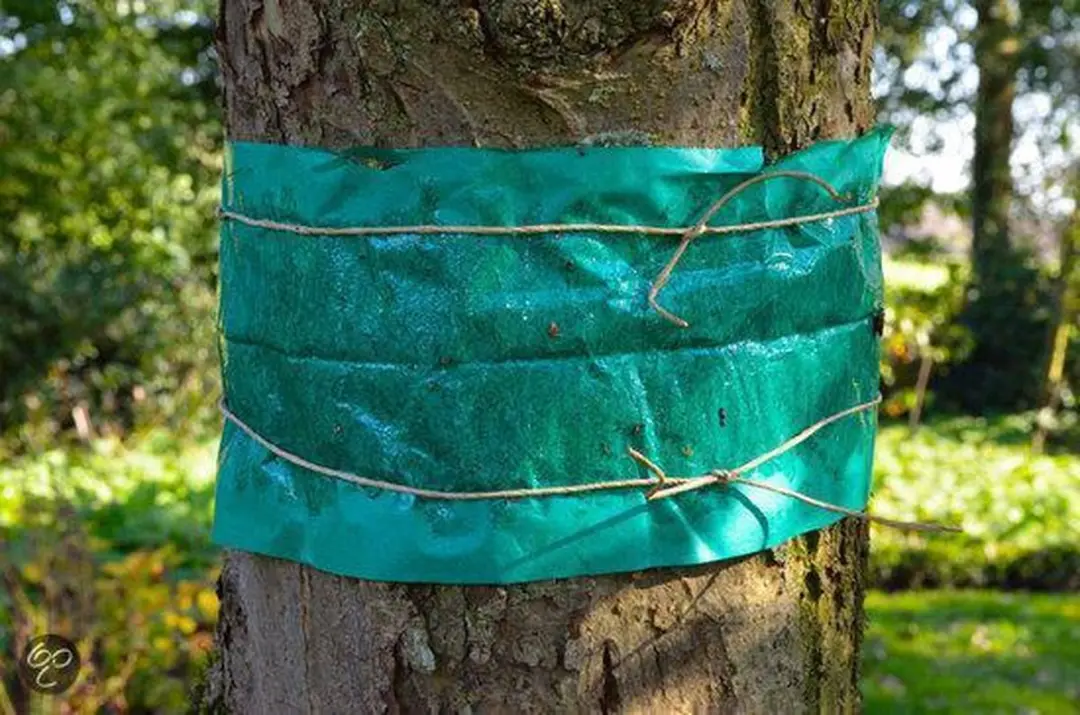 ECOstyle Lijmband Insectenbescherming 2,5m - 2,5ml