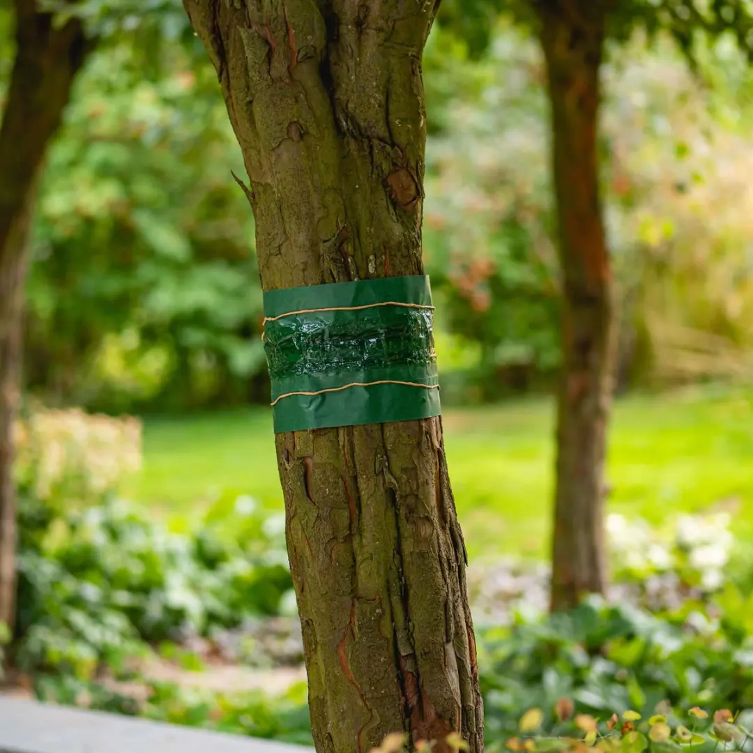 ECOstyle Lijmband Insectenbescherming 2,5m - 2,5ml