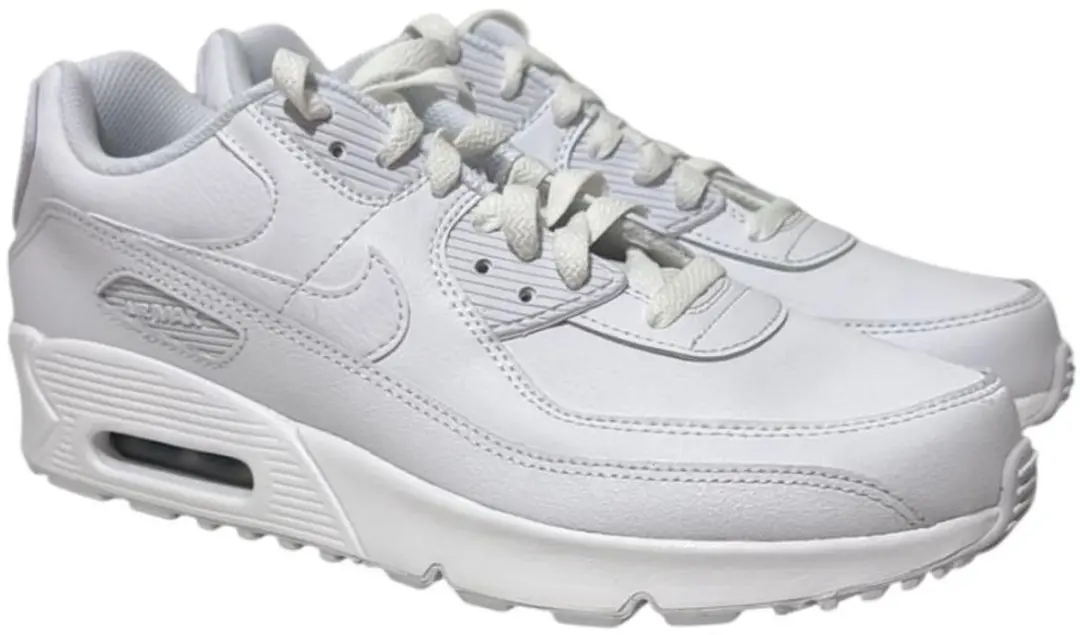 Nike Air Max 90 LTR