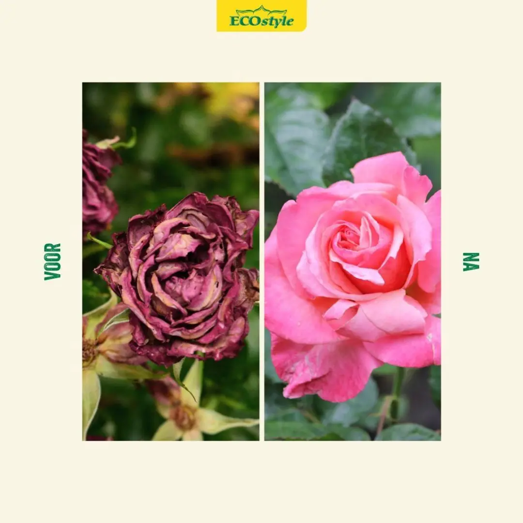 ECOstyle Rozen-AZ Organische Mest 1,6kg - 120 dagen - afbeelding 3 van 6