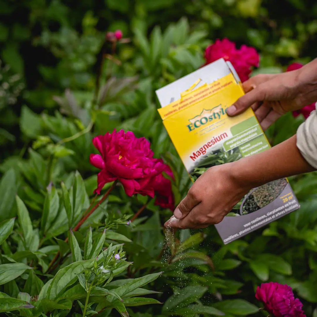 ECOstyle Magnesium 1kg - Bodembemesting 20m² - afbeelding 6 van 6
