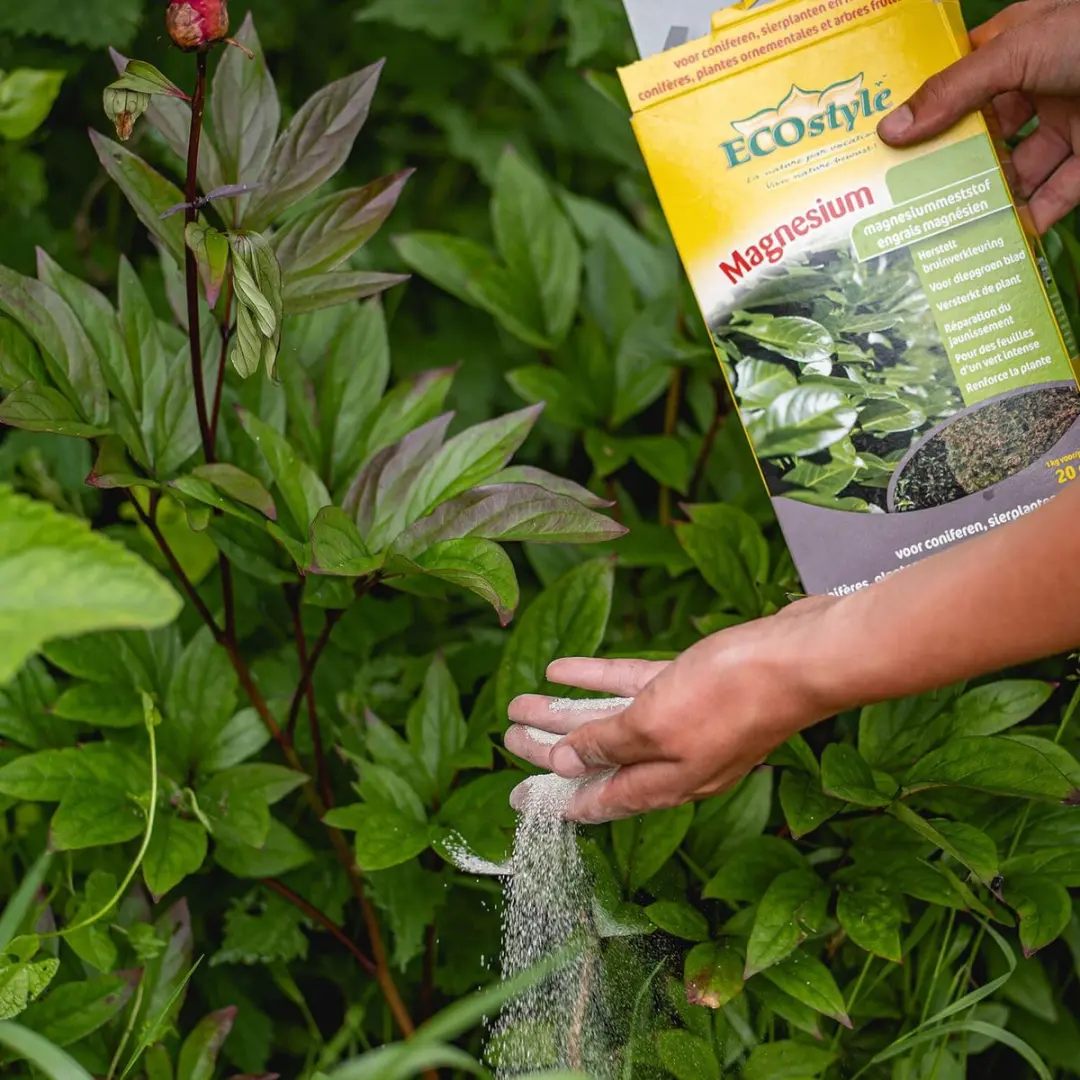 ECOstyle Magnesium 1kg - Bodembemesting 20m² - afbeelding 3 van 6