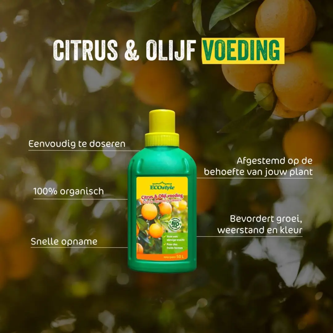 ECOstyle Citrus & Olijf Voeding 500ml - Mediterrane planten - afbeelding 2 van 6