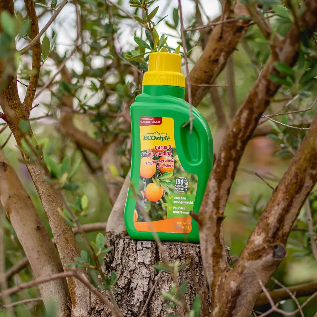 ECOstyle Citrus & Olijf Voeding 500ml - Mediterrane planten - afbeelding 4 van 6