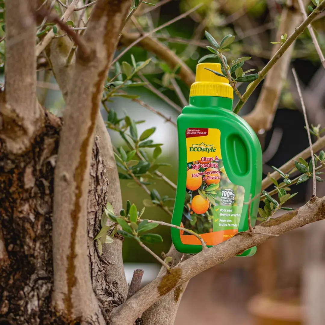 ECOstyle Citrus & Olijf Voeding 500ml - Mediterrane planten - afbeelding 3 van 6