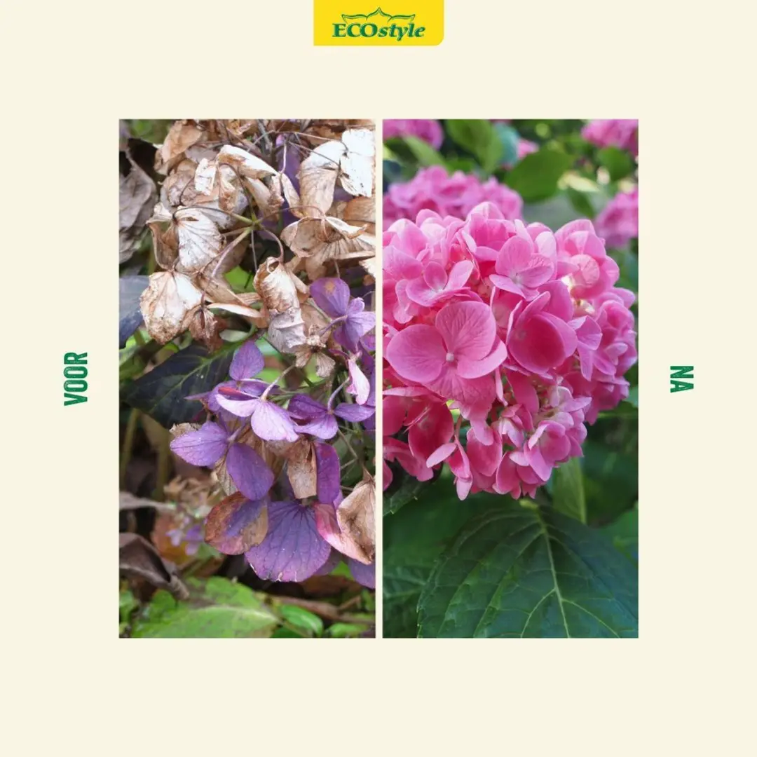ECOstyle Hortensia-AZ Tuinmest 800g - afbeelding 4 van 6