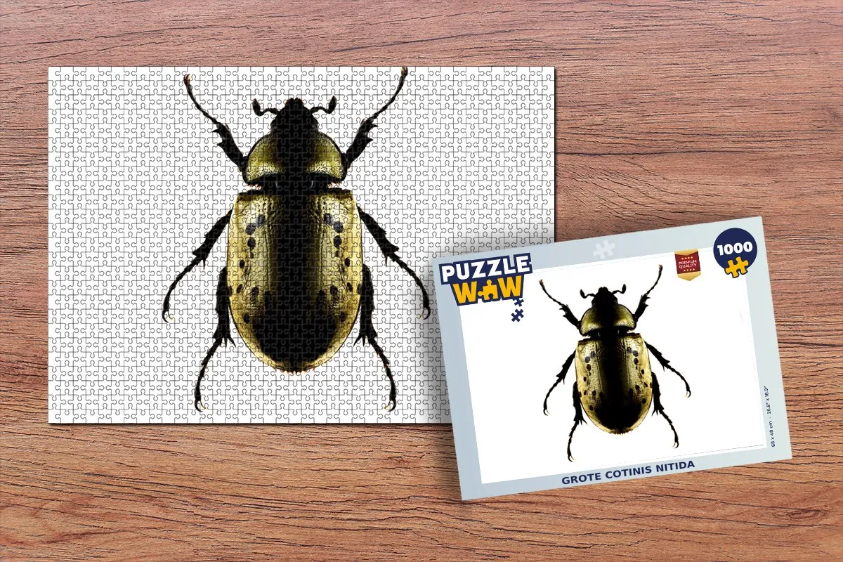 PuzzleWow Legpuzzel Cotinis nitida 1000 Stuks - Multicolor