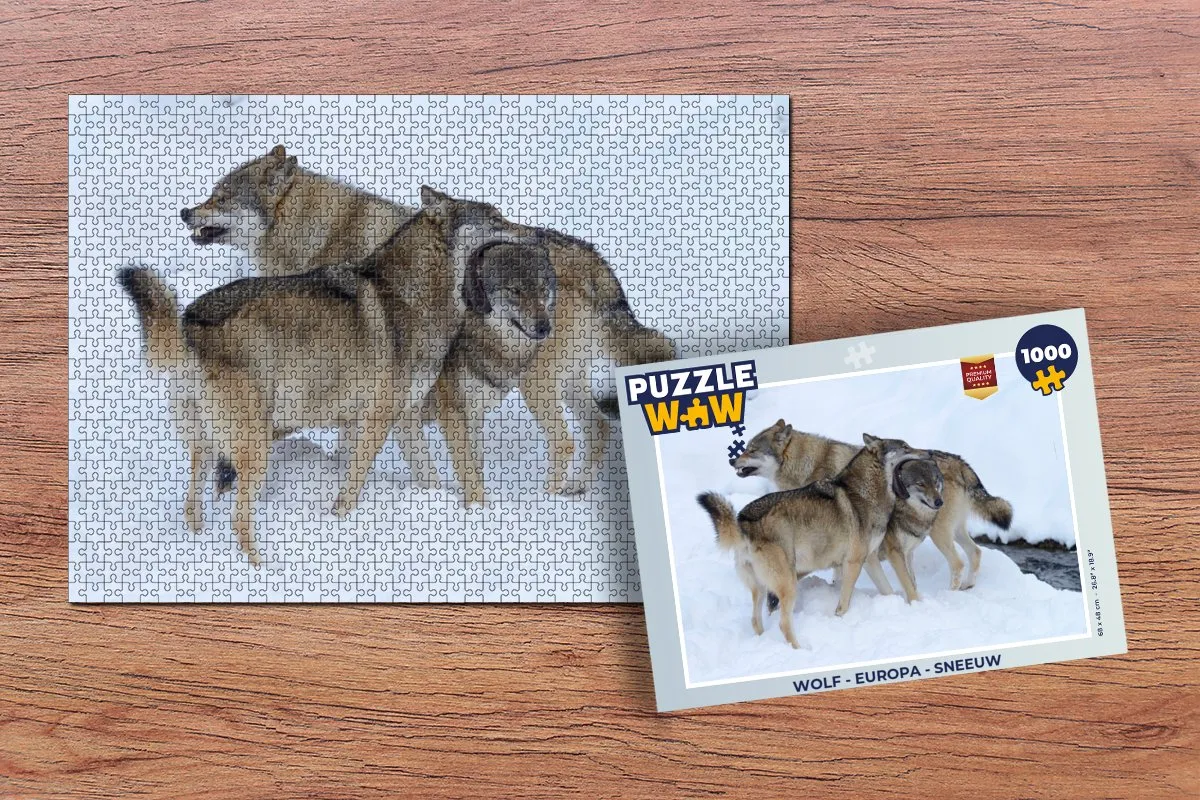 PuzzleWow Europa Sneeuw Legpuzzel 1000 Stuks - Multicolor