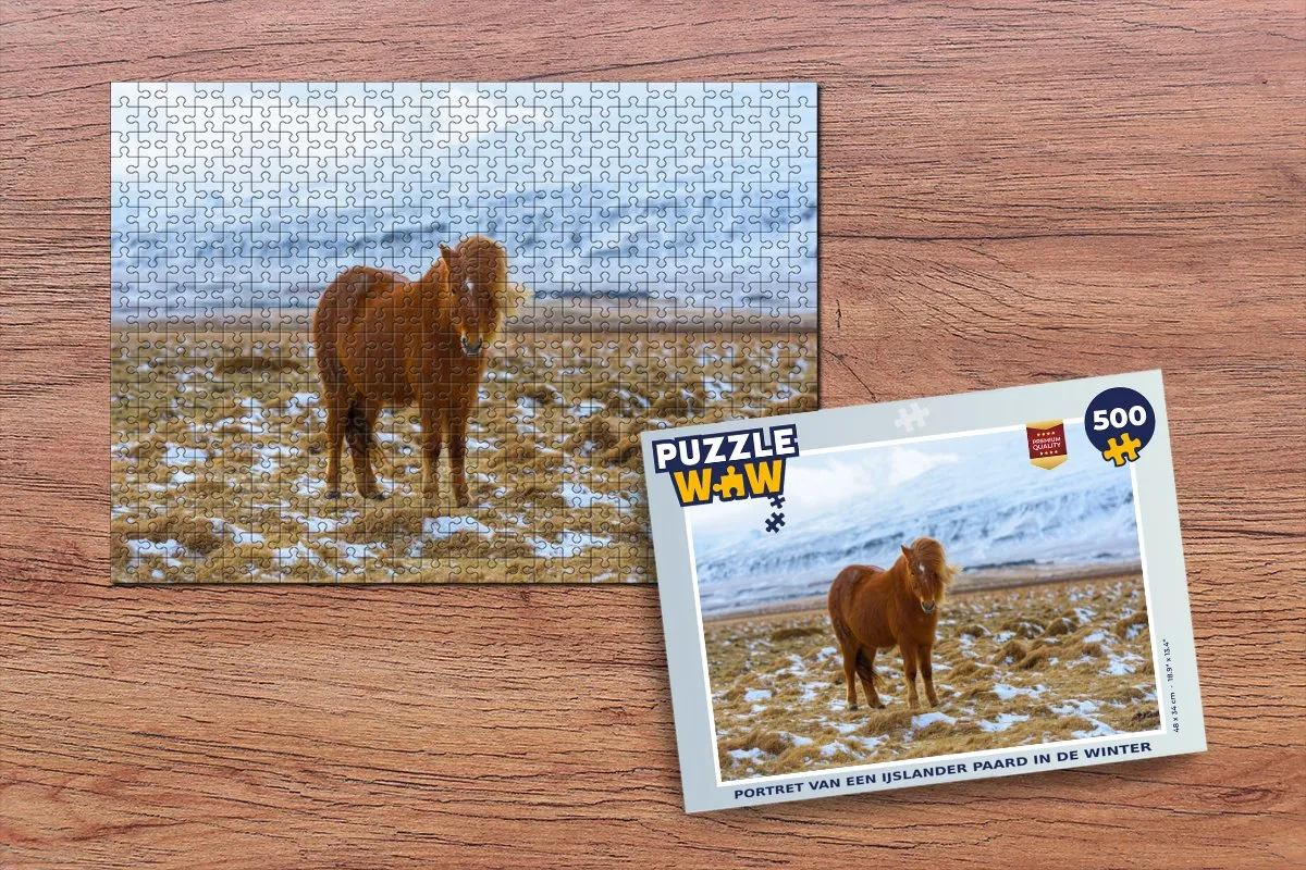 PuzzleWow Legpuzzel Portret van een IJslander paard - 500 Stuks - Multicolor