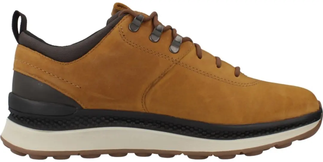 Geox Spherica Actif X2 Schoenen Bruin EU 40 Man