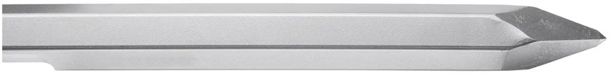 Bosch Professional Puntbeitel 6-kant 19mm - Hout