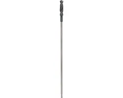Bosch Professional SDS+ Bekistingsboor 20x600mm