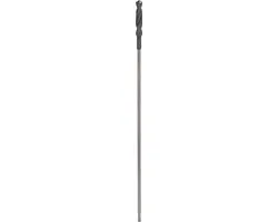 Bosch Professional SDS+ Bekistingsboor 20x600mm
