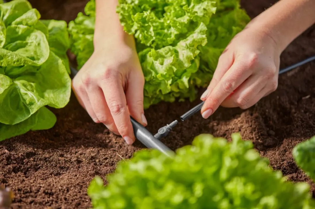 Gardena Verdeelbuis 15m - afbeelding 6 van 6