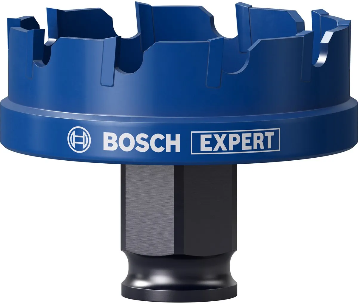 Bosch Professional EXPERT Sheet Metal Gatenzaag 51mm