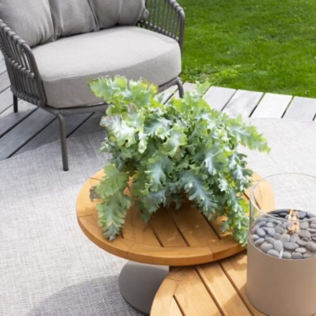 4 Seasons Outdoor Capalbio Loungestoel - Terre - afbeelding 4 van 6