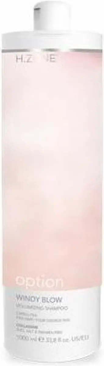 H.Zone Option Windy Blow Volumizing Shampoo 1000ml