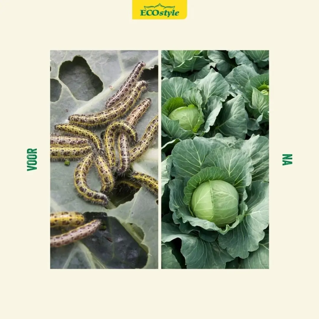 ECOstyle RupsVrij Insectenbestrijding 25g - 335m² - afbeelding 2 van 6