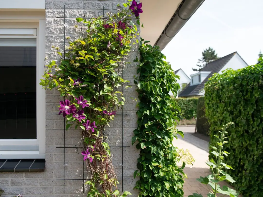 Nature Metalen Klimrek Grijs 145x57cm - afbeelding 2 van 5