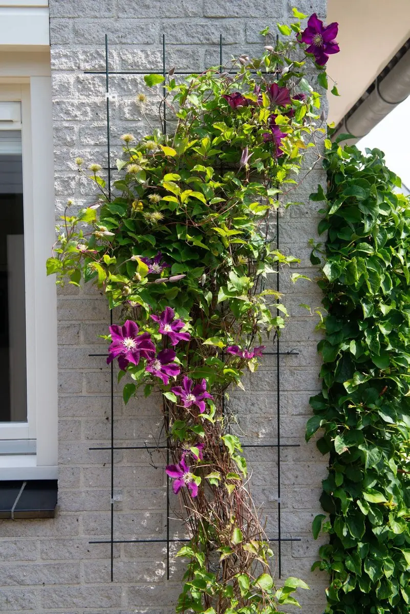 Nature Metalen Klimrek Grijs 145x57cm - afbeelding 5 van 5