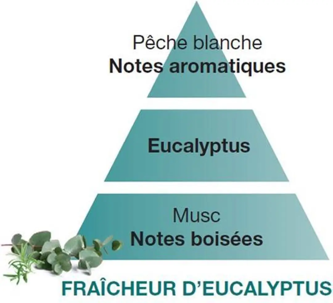 Lampe Berger Navulling Fraîcheur d'Eucalyptus 500ml