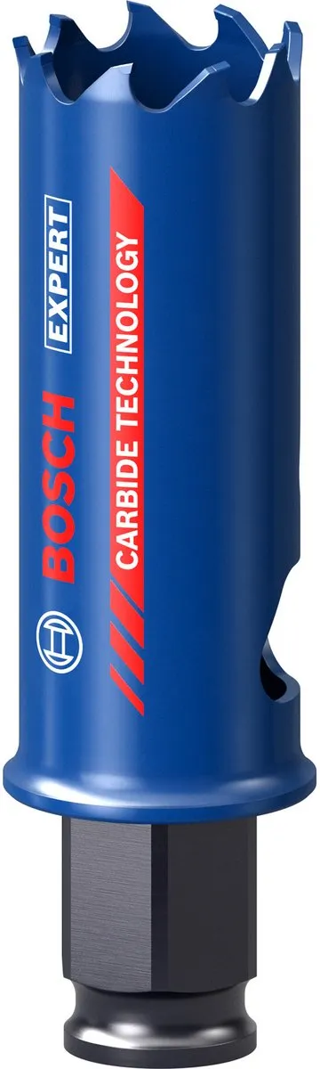 Bosch Professional Expert Tough Gatzaag 22x60mm