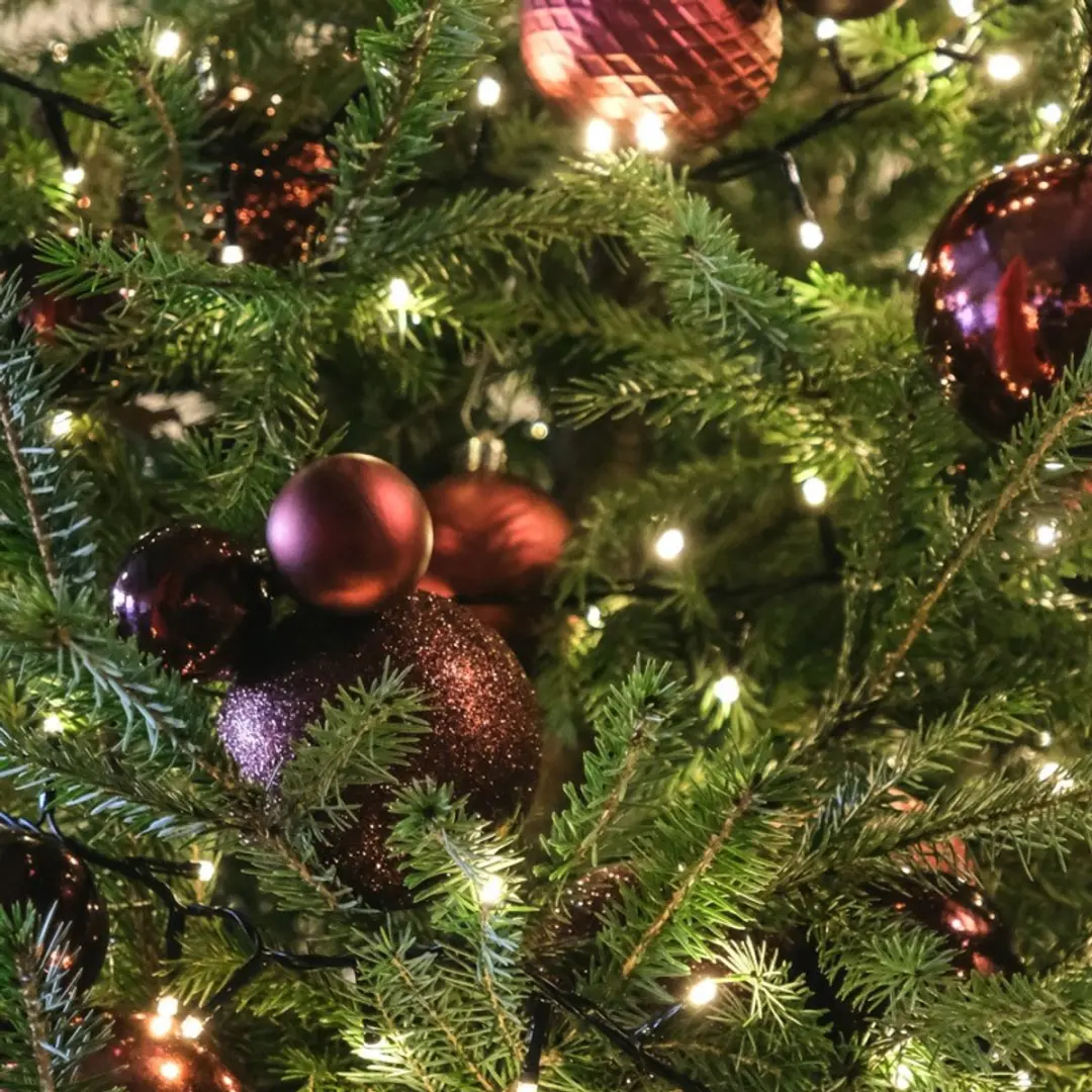 Decoris Kunststof Kerstballen Mix Ossenbloed