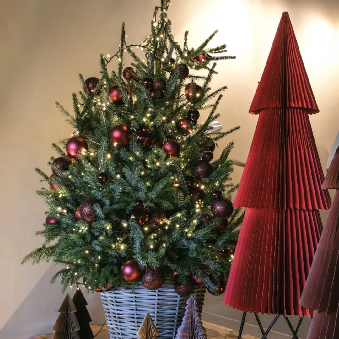Decoris Kunststof Kerstballen Mix Ossenbloed - 100 Stuks - afbeelding 2 van 6