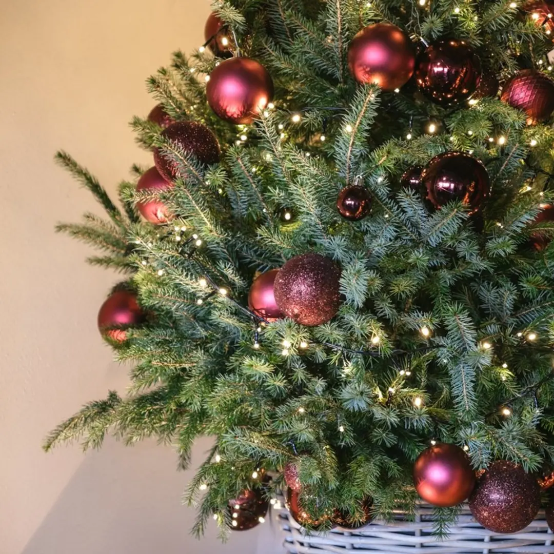 Decoris Kunststof Kerstballen Mix Ossenbloed - 100 Stuks - afbeelding 4 van 6