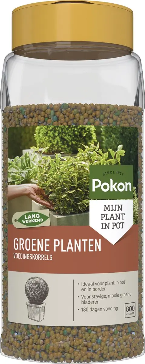 Pokon Voedingskorrels Groene Planten 800g