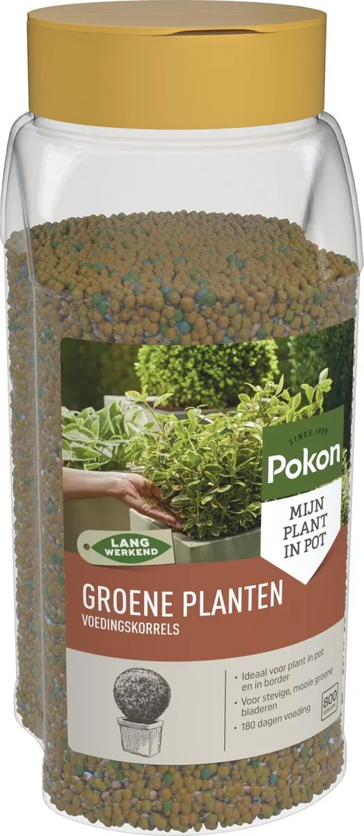 Pokon Voedingskorrels Groene Planten 800g - 180 Dagen - afbeelding 2 van 6
