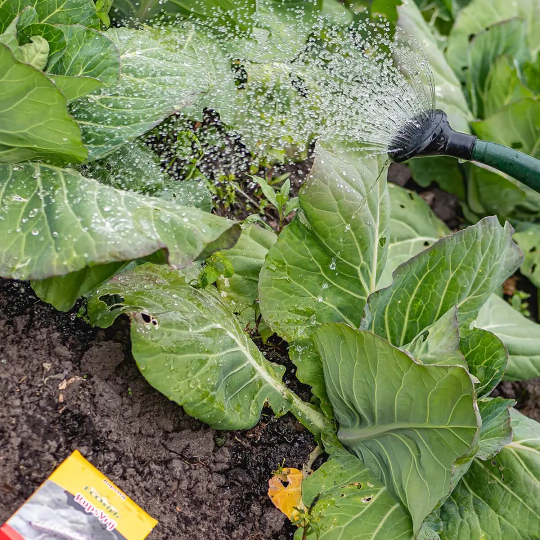 ECOstyle RupsVrij Insectenbestrijding 7,5g - 100m2 - afbeelding 6 van 6