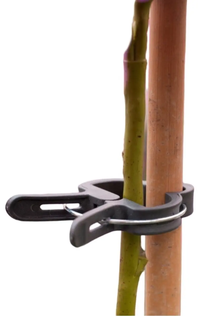 Nature Plantenclip Klim-En Geleide Artikel - 10 Stuks Groen - afbeelding 6 van 6