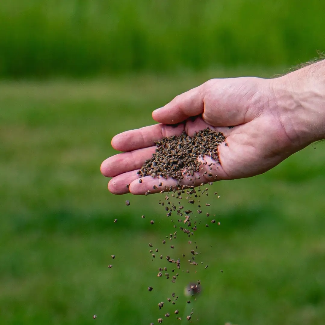 ECOstyle Zomerbloeiers-AZ Organische Tuinmest 800g - 25 Planten - afbeelding 5 van 6