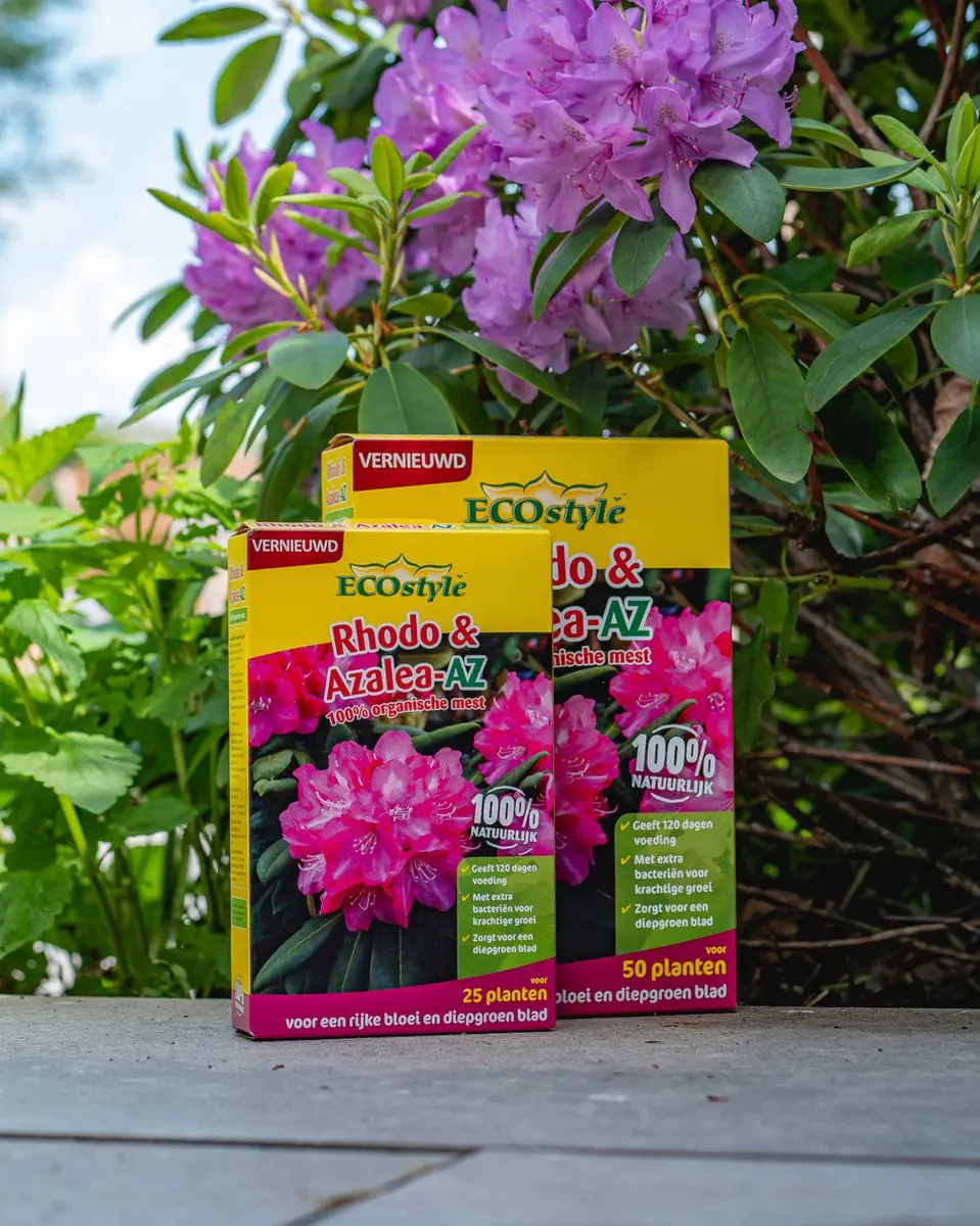 ECOstyle Rodo & Azalea Voeding 800g - 25 Planten - afbeelding 4 van 6
