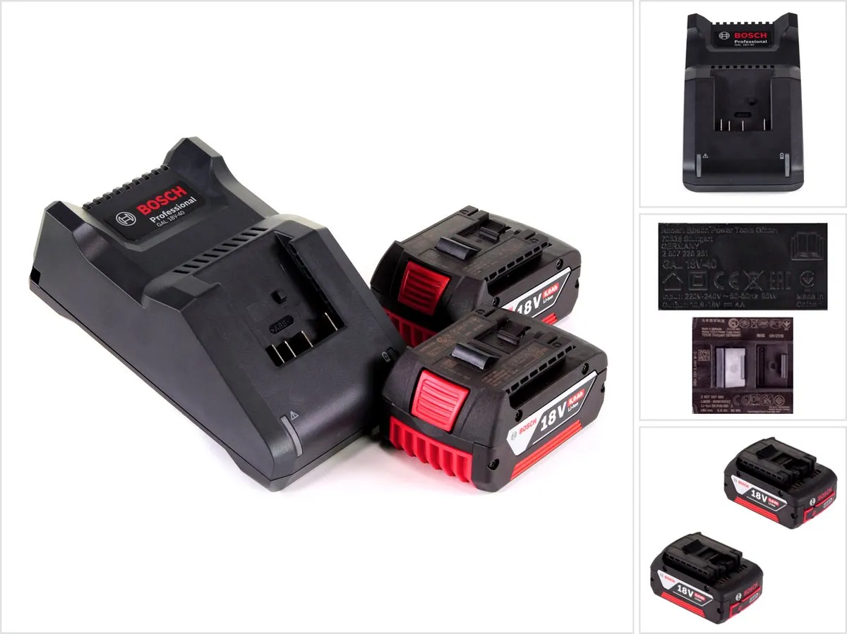 Bosch Professional Startset 18V GBA 5.0Ah GAL 40