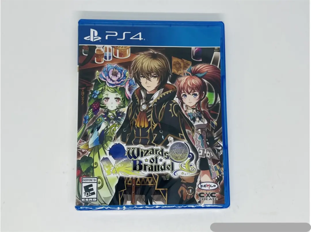 Limited Run Games Wizards of Brandel PS4 - afbeelding 2 van 3