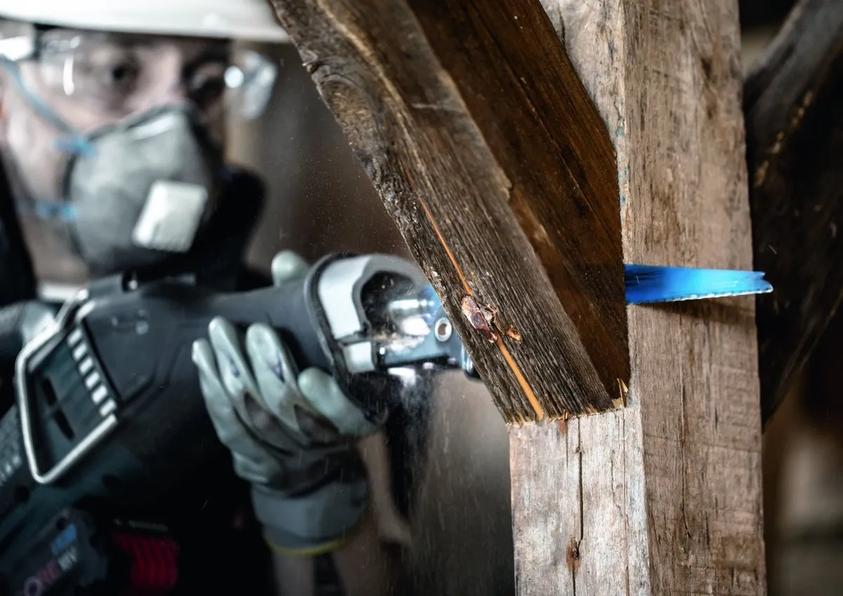 Bosch Professional S967XHM Reciprozaagblad