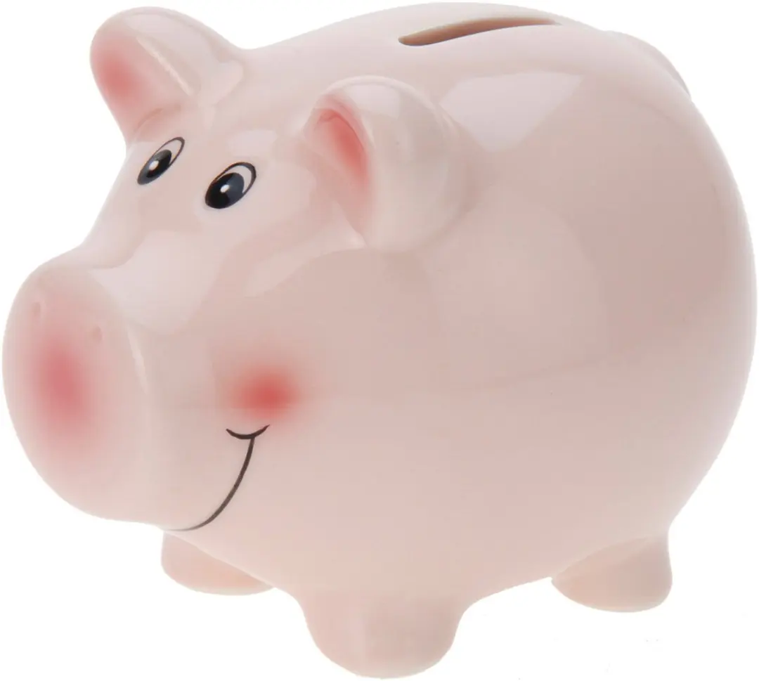 Koopman Spaarpot Varken 9cm - Roze - afbeelding 3 van 5
